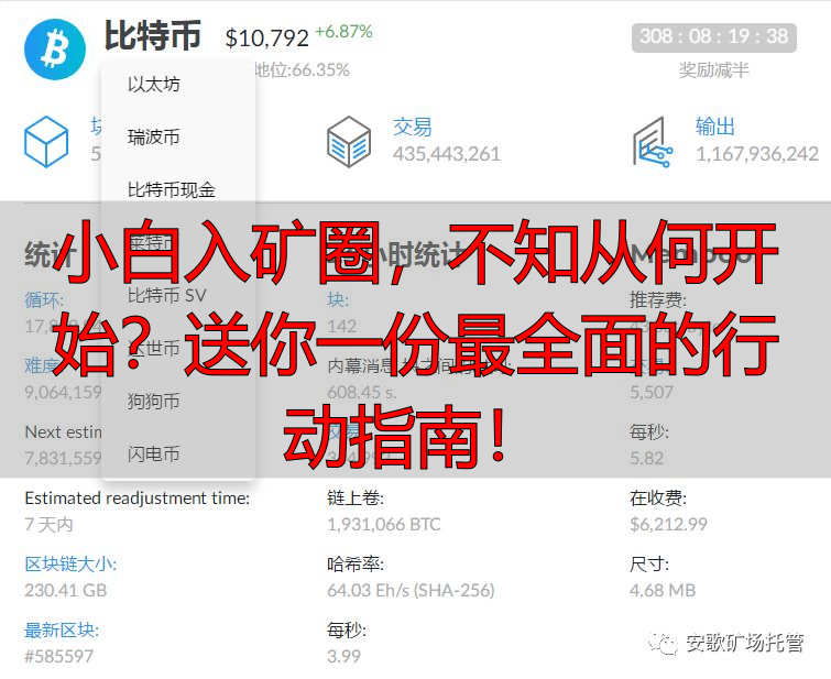 小白入矿圈，不知从何开始？送你一份最全面的行动指南！-丽金财经