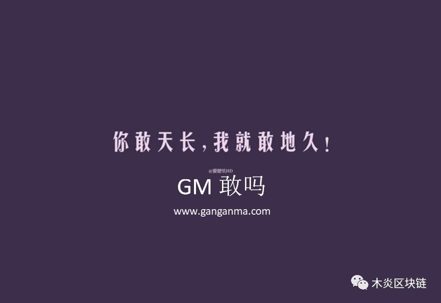GM敢吗区块链项目_区块链社会_区块链3.0基础生态公链