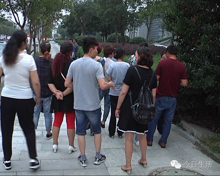 莱特币在线钱包_虚拟货币投资骗局_莱特币传销模式