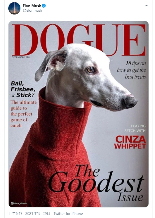 狗狗币价格暴跌原因_马斯克狗狗币app_马斯克对狗狗币的态度