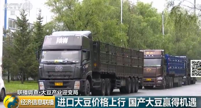 中国大豆进口巴西俄罗斯加拿大_卓创资讯大豆网_中国大豆进口美国关税