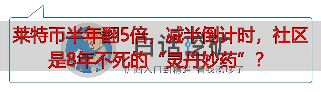 莱特币半年翻5倍，减半倒计时，社区是8年不死的“灵丹妙药”？-丽金财经