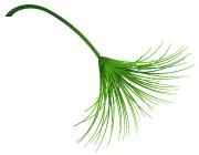 区块链,数字货币_区块链技术降低金融成本_金融领域区块链技术优势