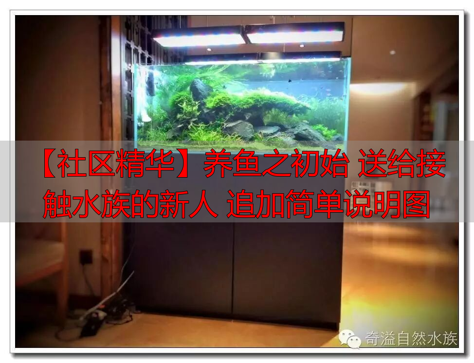 创星过滤桶官网_鱼缸过滤选择_新手养鱼必备