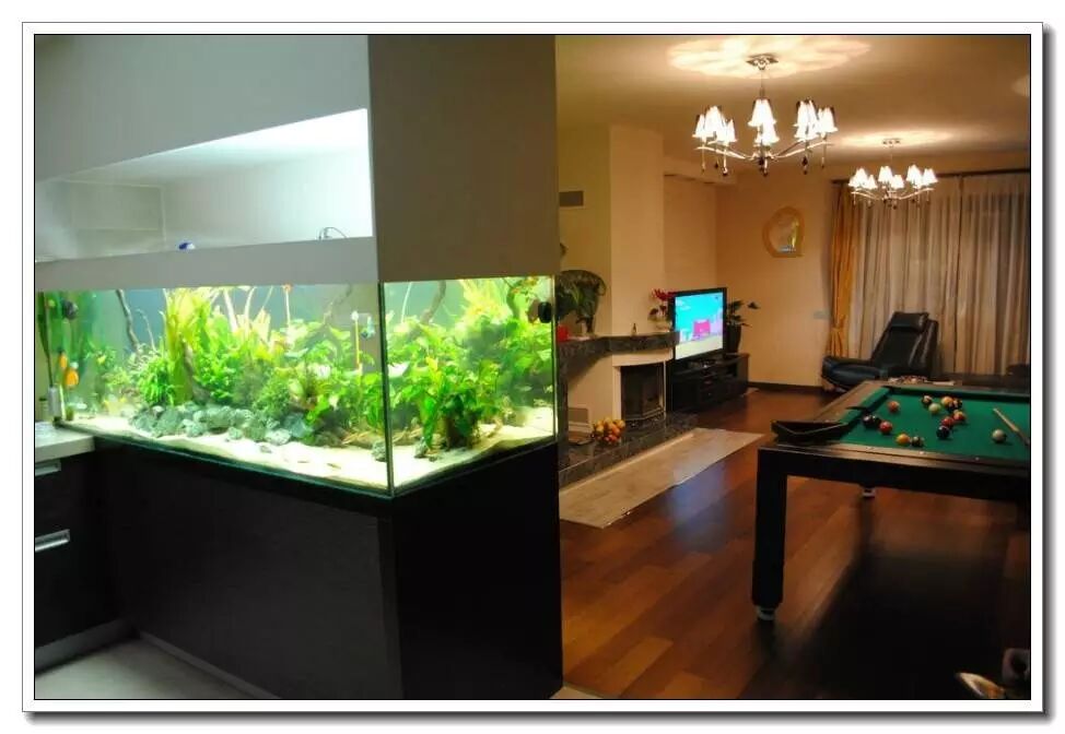 鱼缸过滤选择_创星过滤桶官网_新手养鱼必备