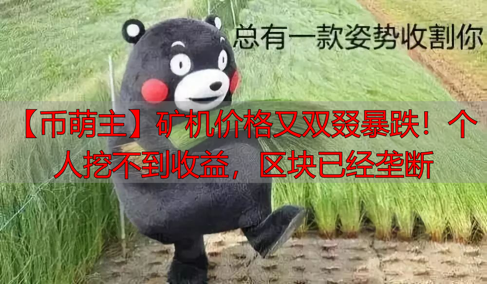 矿机价格暴跌，个人挖矿已无收益？区块垄断时代如何用算法挖币-丽金财经