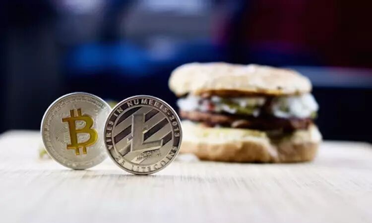 莱特币和比特币的区别_莱特币与比特币市值对比_莱特币价格走势