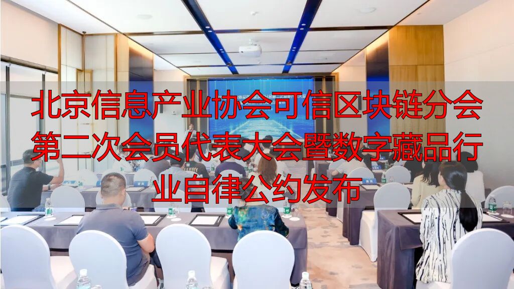 北京信息产业协会可信区块链分会第二次会员代表大会暨数字藏品行业自律公约发布-丽金财经
