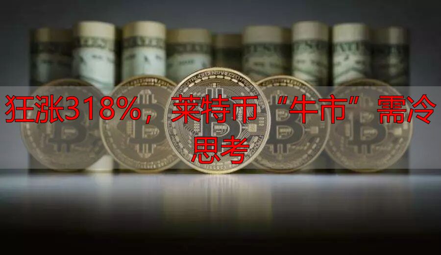 狂涨318%,莱特币“牛市”需冷思考-丽金财经