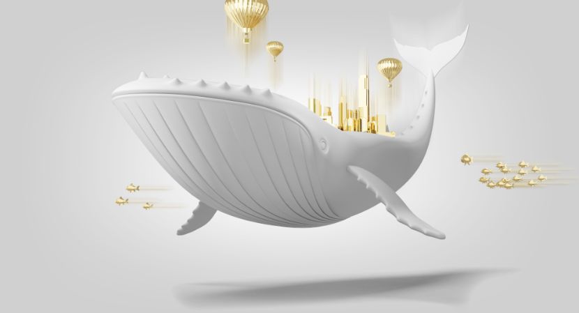 新金融与传统金融的区别_新金融区块链技术期待_区块链技术书籍推荐