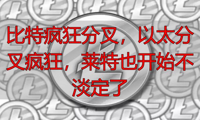 莱特币钱包导出私钥_12月莱特币分叉_莱特币与比特币对比