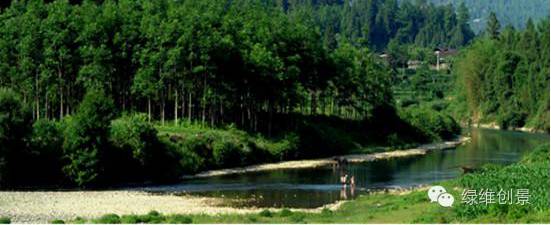 绿维创景官网_绿维创景规划设计_白马山旅游度假区开发建设