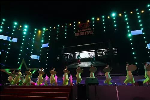 康美易创网登录_康美药业创新公益项目_康美药业2015直销年会