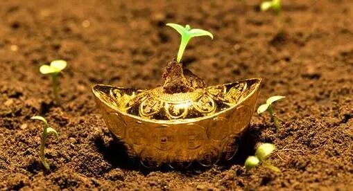 金鼎区块链交易平台_2018年区块链对黄金市场的影响_两会期间马化腾谈区块链在黄金市场应用