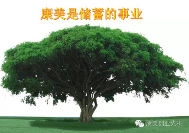 康美事业商机_康美易创网收入在哪里_康美产品养生优势