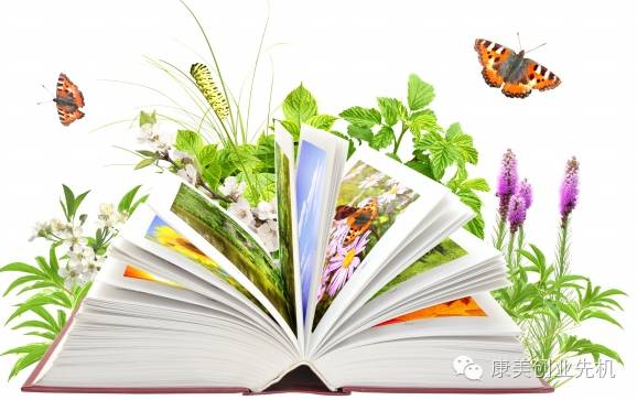 康美易创网收入在哪里_康美事业商机_康美产品养生优势