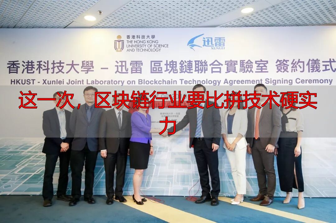 这一次，区块链行业要比拼技术硬实力-丽金财经